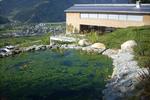 Bauernhaus Rieder - Bild 2