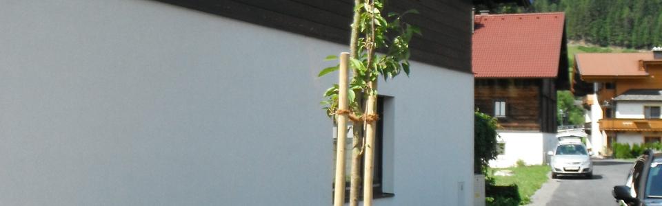 Straßenbauprojekte Maishofen