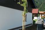 Straßenbauprojekte Maishofen - Bild 3